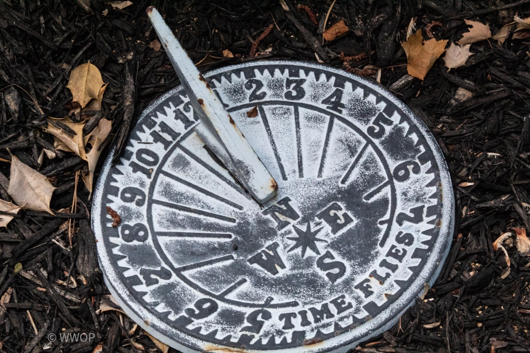 Bulk Mulch Buying Guide: Save $400 Per Year on Landscaping