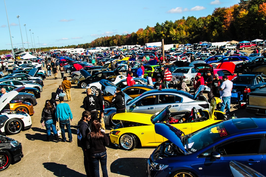 Car Auction Bidding: How I Saved $8K on My Perfect Ride