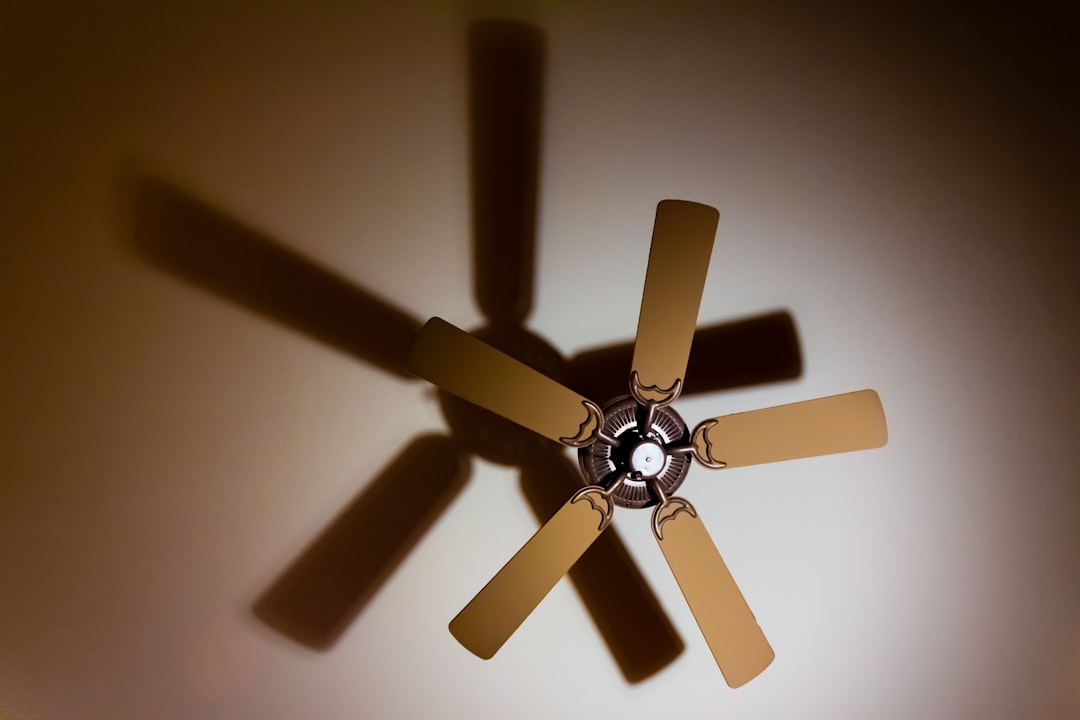 Ceiling Fan Installation: DIY vs Pro - Save $400 Smart