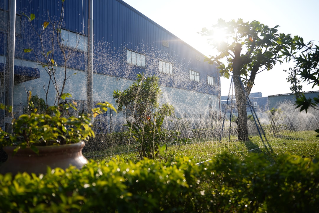 DIY Irrigation System: Save $2,000+ on Professional Installation