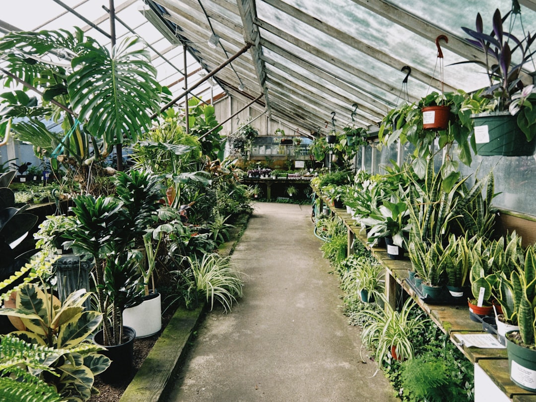 End-of-Season Clearance: How I Save 80% on Plants