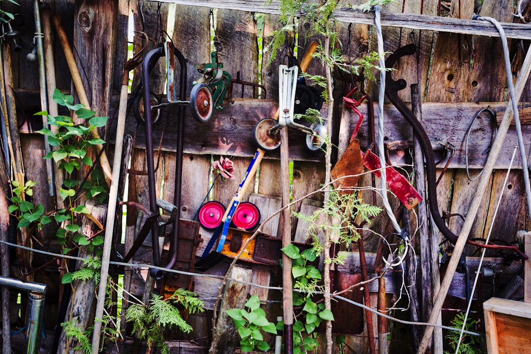 Garden Tool Sharing Programs Save $300+ Per Year on Equipment