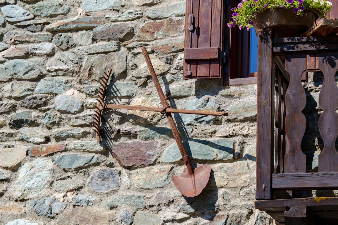Garden Tool Sharing Programs: Save 80% on Expensive Equipment