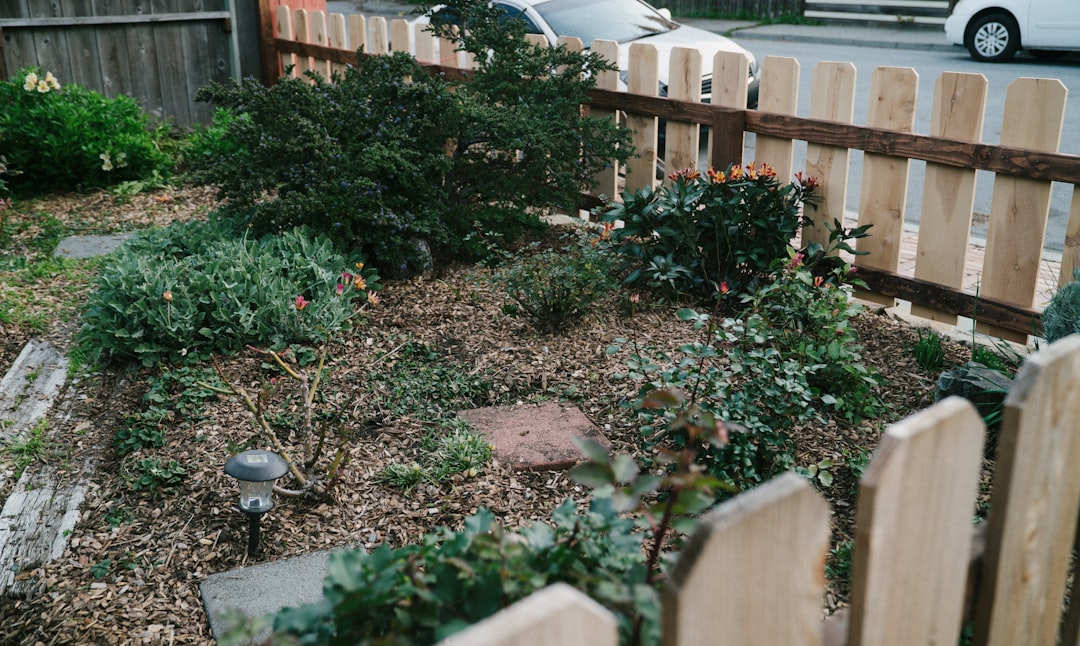 Mulch Deals: When & How to Buy Premium Landscaping for Less