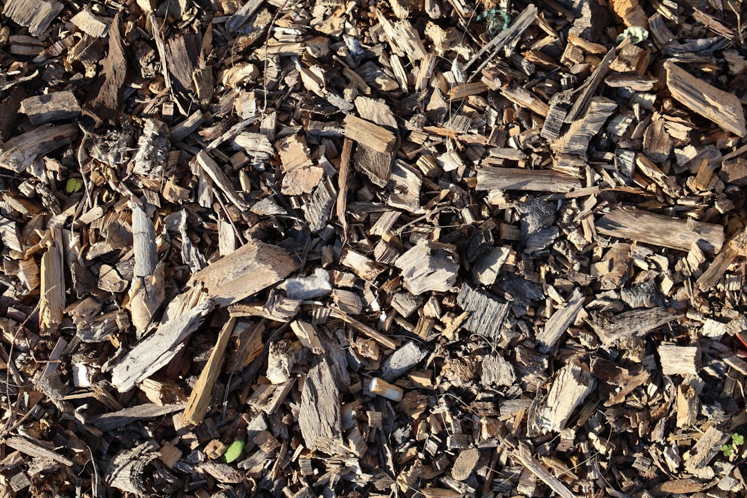 Mulch Delivery Timing Hacks Save $400 Yearly Landscaping