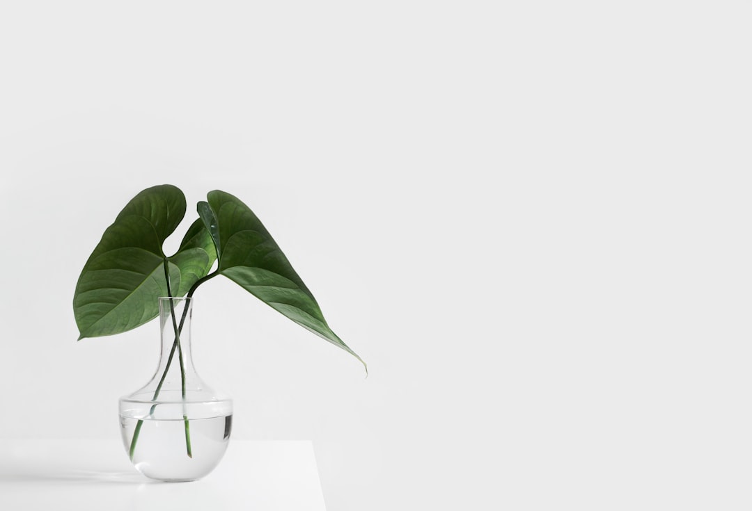 Plant Propagation: Turn $20 Into 200+ Plants Save $3000 Annually