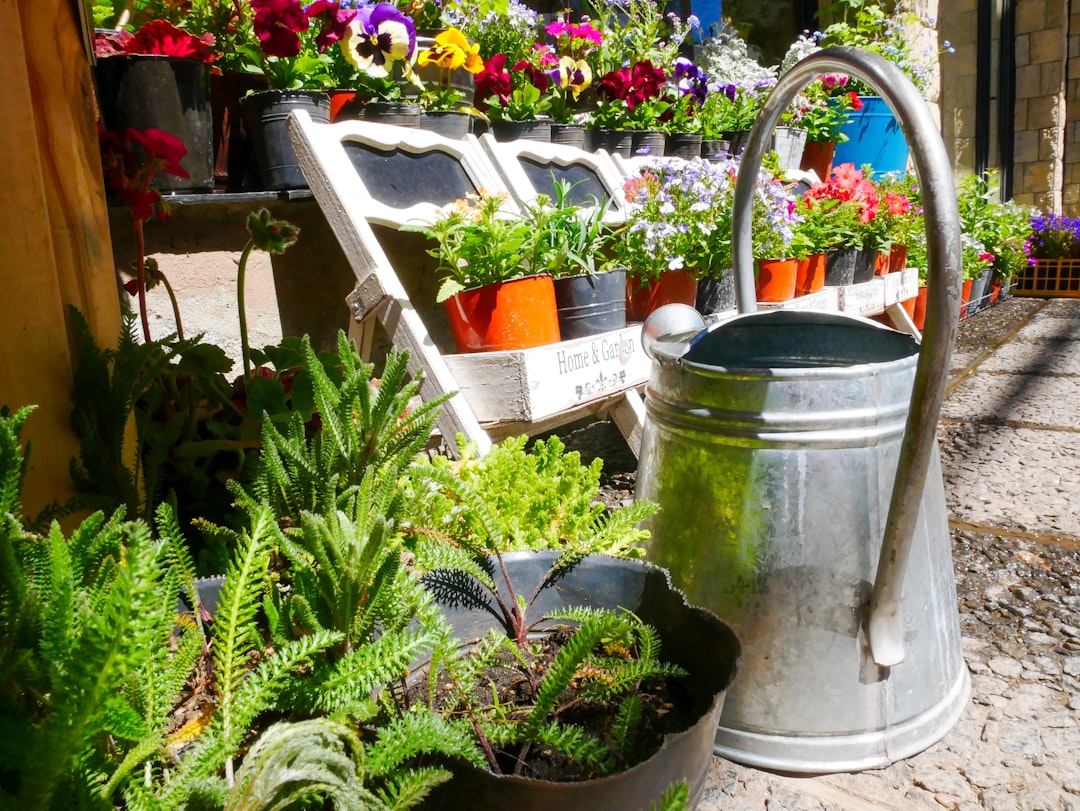 Seasonal Plant Swaps: Save 80% on Garden Makeovers