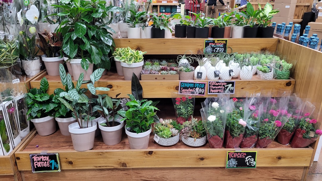 Thrift Store Garden Gold: Turn $25 Into a Backyard Paradise